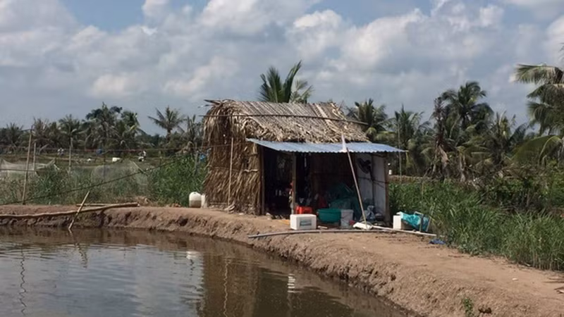 Hiện trường phát hiện vụ việc (Ảnh: Dân trí)