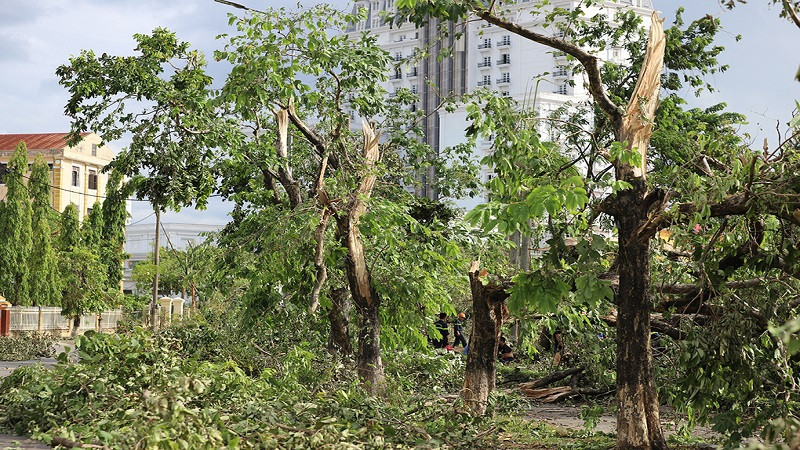 Cây xanh gãy nằm ngổng ngang trên đường phố Huế Cây xanh gãy nằm ngổng ngang trên đường phố Huế