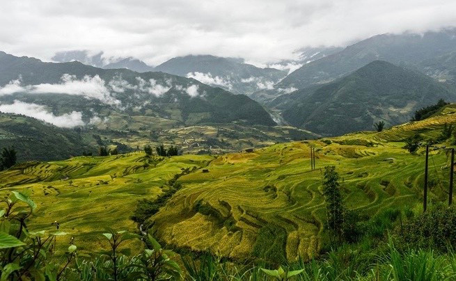 Quãng đường lên Y Tý dài khó đi, hiểm trở nhưng lại có rất nhiều ruộng bậc thang đẹp. (Ảnh: Zing) Quãng đường lên Y Tý dài khó đi, hiểm trở nhưng lại có rất nhiều ruộng bậc thang đẹp. (Ảnh: Zing)