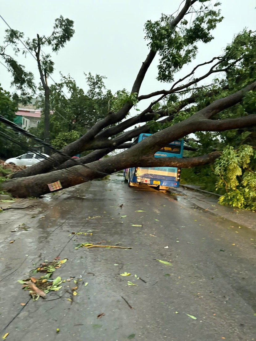 Cơn giông lốc gây đổ nhiều cây trên địa bàn Hà Nội