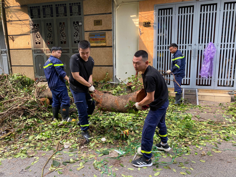 Dọn dẹp cây đổ sau bão là một cảm xúc khó quên đối với mỗi người lính Dọn dẹp cây đổ sau bão là một cảm xúc khó quên đối với mỗi người lính