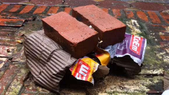 Ai đó đã che gốc sưa đỏ lại bằng bìa các-tông và gạch mộc