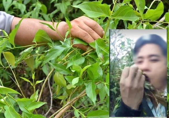 Anh B. quay clip mình ăn lá ngón tự tử gửi cho người yêu Anh B. quay clip mình ăn lá ngón tự tử gửi cho người yêu