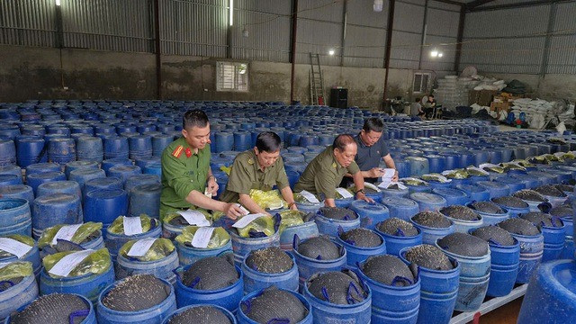 Cơ quan chức năng tiến hành niêm phong tang vật – các thùng chứa giá đỗ ngâm hóa chất. Ảnh (CANA).