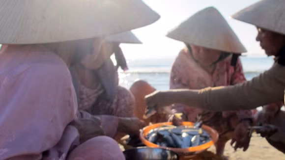 Những người phụ nữ ở chợ cá... ...cùng nhau mua bán chóng vánh, vì giá cả không thay đổi nhiều