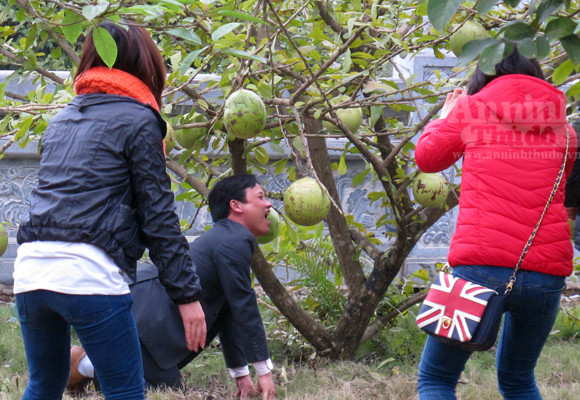 Đào tiên nhà chùa tan nát vì… lời tỏ tình ảnh 12 Đào tiên nhà chùa tan nát vì… lời tỏ tình ảnh 12