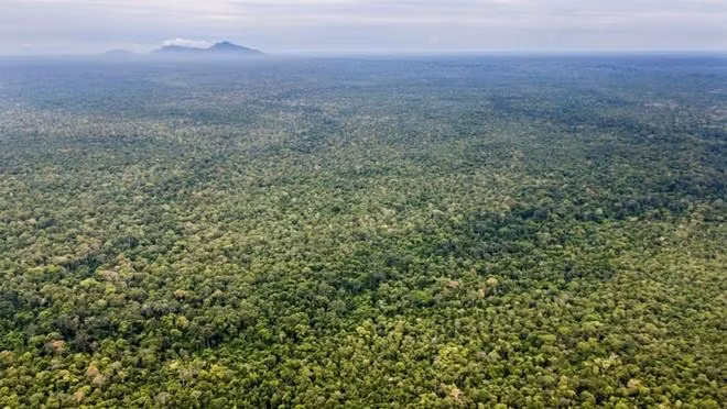 Khu bảo tồn động vật hoang dã Prey Lang