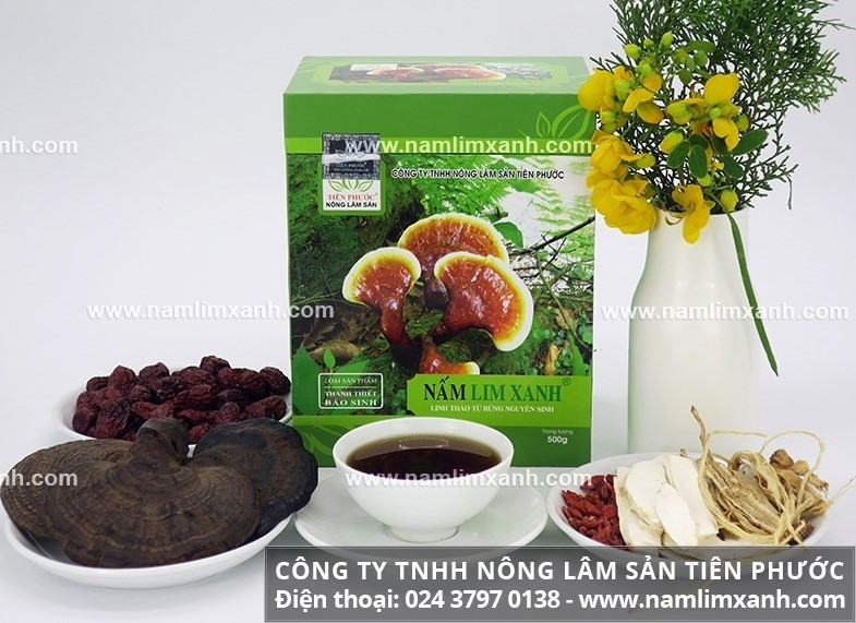 Nấm lim xanh trị ung thư là nấm lim xanh Thanh Thiết Bảo Sinh cổ truyền.