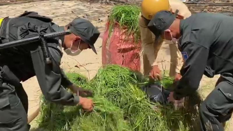 Lực lượng chức năng phát hiện, thu giữ tang vật (Ảnh: Dân trí)