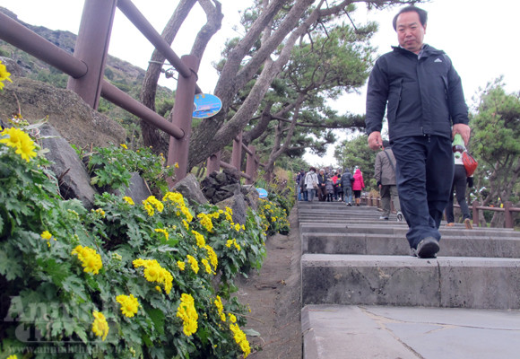 Vào miệng núi lửa, tận mắt thấy “đối thủ” của Vịnh Hạ Long ảnh 6 Vào miệng núi lửa, tận mắt thấy “đối thủ” của Vịnh Hạ Long ảnh 6