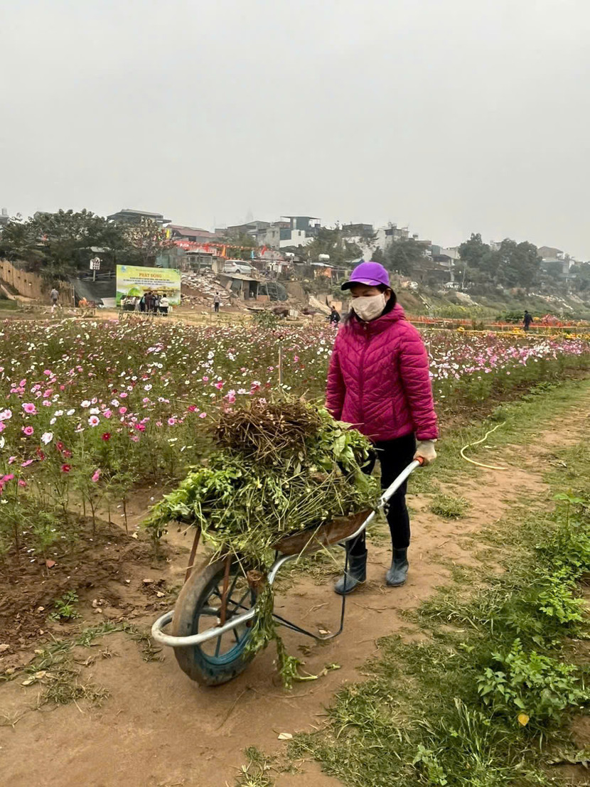 Cứ cuối tuần là các ban, ngành, đoàn thể đến "điểm hẹn" Phúc Xá để thu dọn rác, chăm hoa Cứ cuối tuần là các ban, ngành, đoàn thể đến "điểm hẹn" Phúc Xá để thu dọn rác, chăm hoa