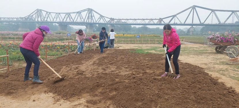 Vừa trồng, vừa chăm để bến hoa Phúc Xá ngày một tươi đẹp hơn Vừa trồng, vừa chăm để bến hoa Phúc Xá ngày một tươi đẹp hơn