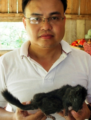 Phát hiện loài chuột đá "tuyệt chủng" cách đây 11 triệu năm ảnh 2