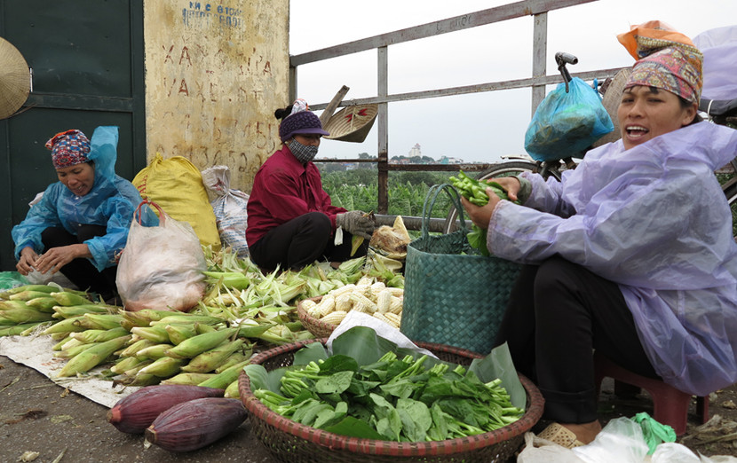 Người Hà Nội co ro trong gió rét mùa đông ảnh 12
