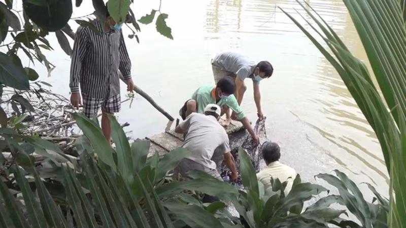 Thi thể nạn nhân được vớt lên bờ