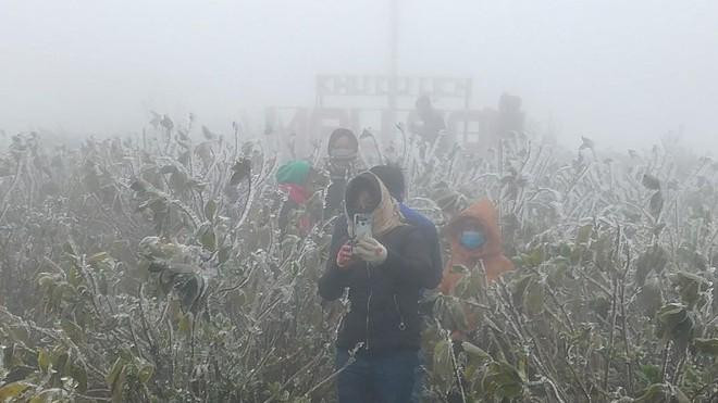 Khách du lịch tìm về Mẫu Sơn để ngắm băng giá lần đầu xuất hiện trong mùa đông năm nay