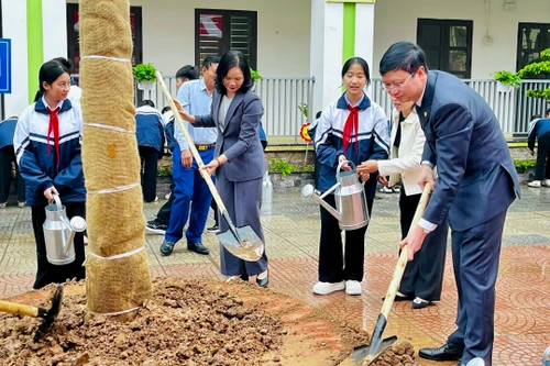 Tết trồng cây Xuân Bính Ngọ: Dự kiến trồng mới 15.000 cây xanh tại trường học
