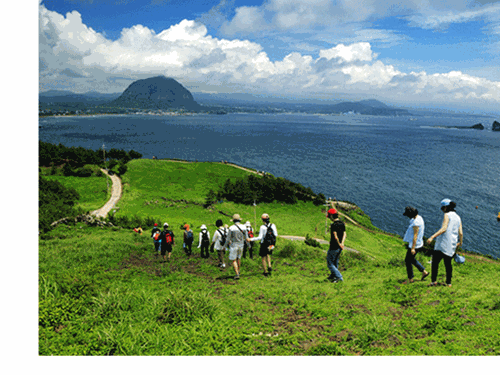 Audio 18-1-2016: Yêu cầu làm rõ vụ 46 du khách Việt Nam "mất tích" tại Hàn Quốc ảnh 1