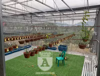 Cận mặt kẻ trộm lan táo tợn tại Hòa Bình lấy sạch toàn bộ lan đột biến trị giá 2,9 tỷ đồng