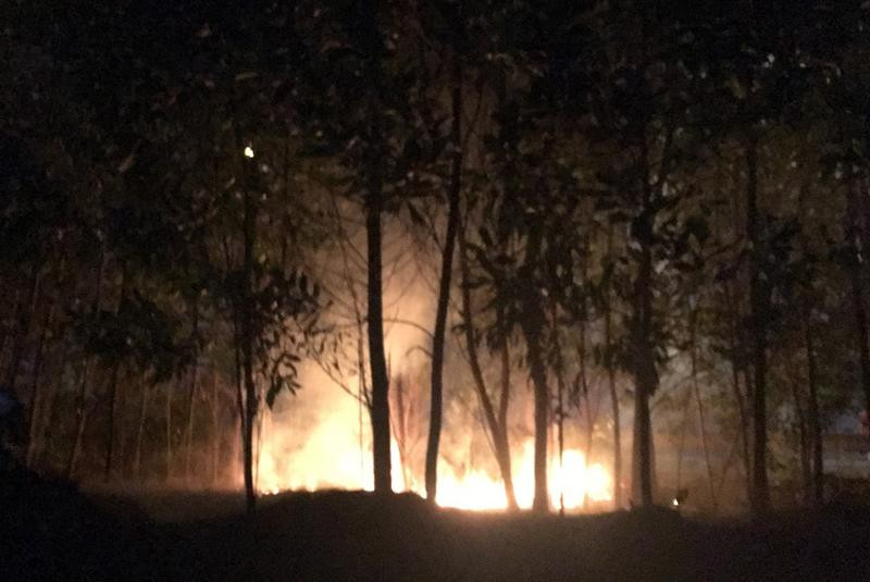 Thảm cây xanh tại đường Võ Văn Kiệt cháy ngày 1-1 vừa qua Thảm cây xanh tại đường Võ Văn Kiệt cháy ngày 1-1 vừa qua