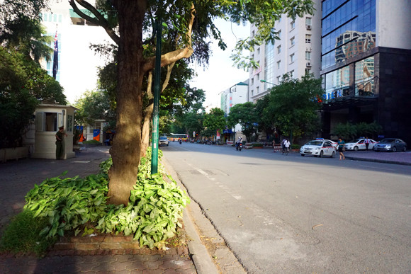 Hàng nghìn người xếp hàng vào Lăng viếng Bác trong ngày Quốc khánh 2-9 ảnh 7