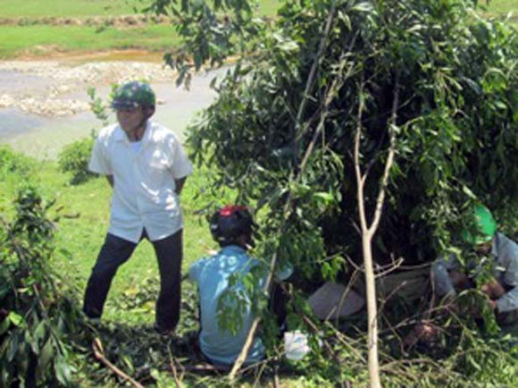  Theo ông ra sông, cháu bị chết đuối ảnh 1