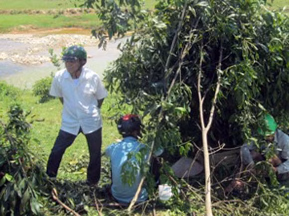  Theo ông ra sông, cháu bị chết đuối ảnh 1