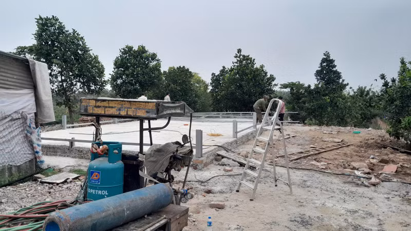 UBND phường Tứ Liên kiên quyết xử lý cắt bỏ lều lán tạm trong vườn cây ăn quả tại khu vực bờ sông Hồng, nằm trên địa bàn phường