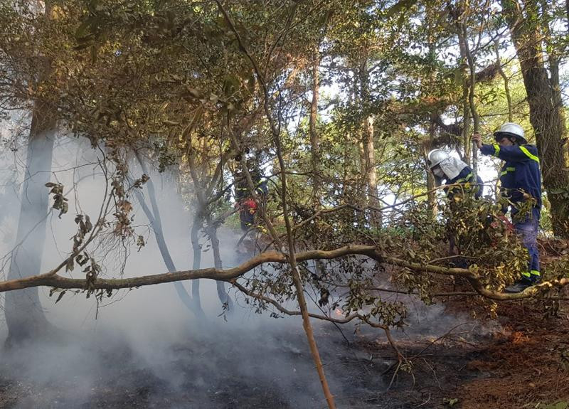 Đám cháy thiệt hại khoảng 1,45 ha rừng phòng hộ Đám cháy thiệt hại khoảng 1,45 ha rừng phòng hộ