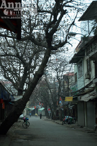 Lắng đọng Hà Nội trong sớm mồng 1 Tết ảnh 8 Lắng đọng Hà Nội trong sớm mồng 1 Tết ảnh 8