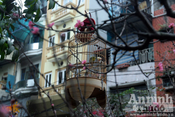 Lắng đọng Hà Nội trong sớm mồng 1 Tết ảnh 9 Lắng đọng Hà Nội trong sớm mồng 1 Tết ảnh 9