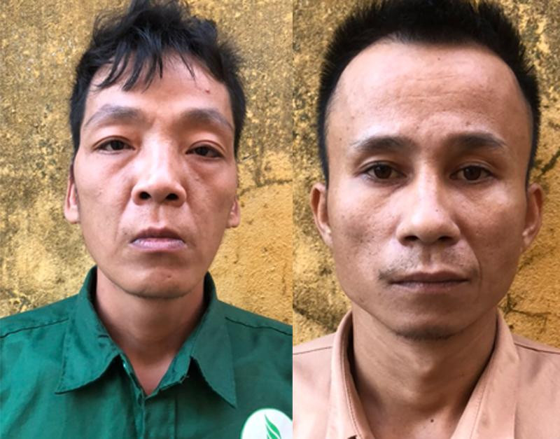 Hai đối tượng Thông và Tho Hai đối tượng Thông và Tho