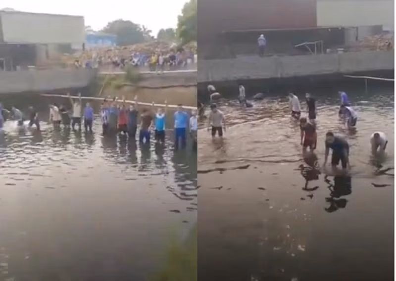 Hình ảnh tập trung đông người bắt cá dưới hồ và trên bờ cổ vũ tại Nhà máy Giấy Xương Giang gây phản cảm khi dịch bệnh Covid-19 đang có diễn biên phức tạp Hình ảnh tập trung đông người bắt cá dưới hồ và trên bờ cổ vũ tại Nhà máy Giấy Xương Giang gây phản cảm khi dịch bệnh Covid-19 đang có diễn biên phức tạp