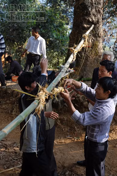 Tục xem gan lợn để biết vận mệnh trong năm ảnh 7