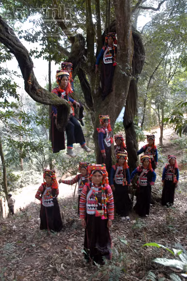 Tục xem gan lợn để biết vận mệnh trong năm ảnh 5