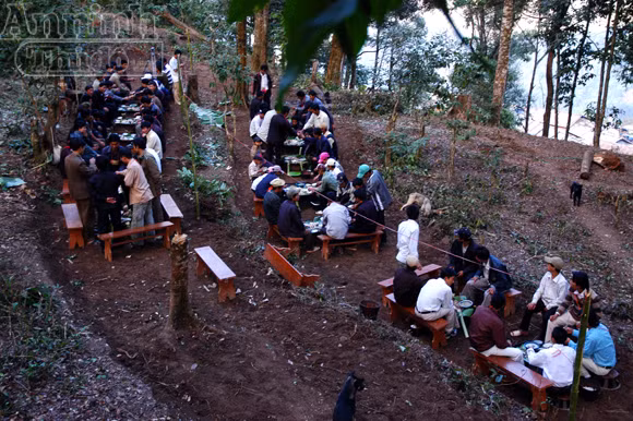 Tục xem gan lợn để biết vận mệnh trong năm ảnh 1