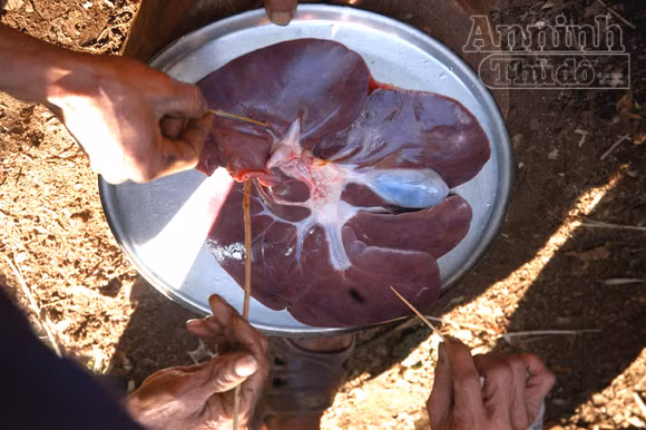 Tục xem gan lợn để biết vận mệnh trong năm ảnh 4