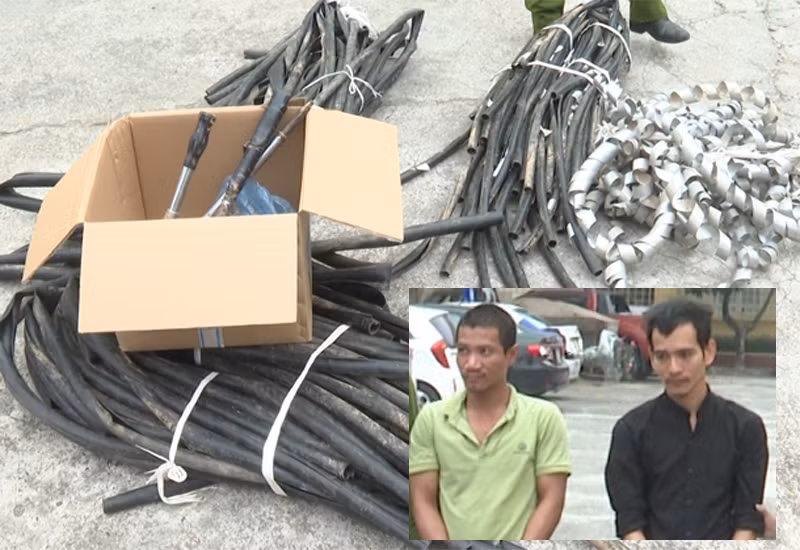 Tang vật và hai đối tượng Hải, Trường