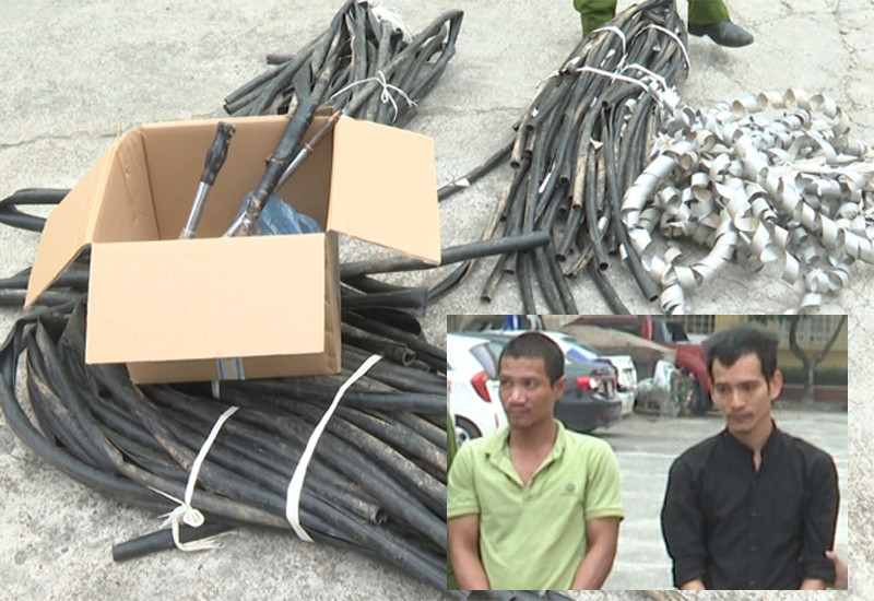 Tang vật và hai đối tượng Hải, Trường Tang vật và hai đối tượng Hải, Trường