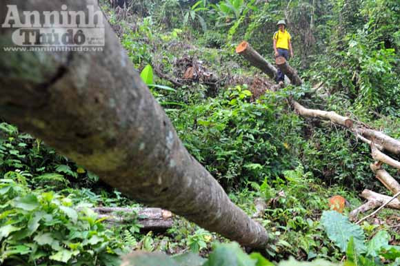 Những đứa trẻ ở bản "siêu đẻ" Mỏ Ba ảnh 11