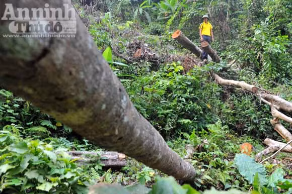 Những đứa trẻ ở bản "siêu đẻ" Mỏ Ba ảnh 11