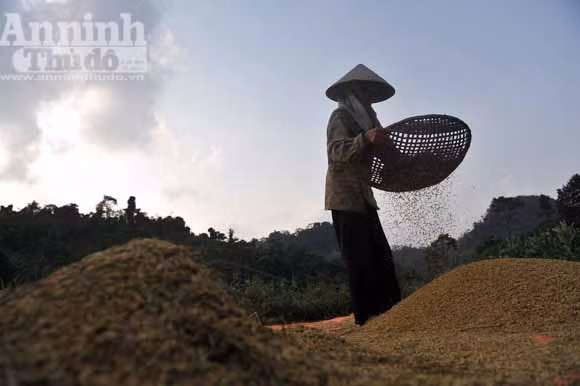 Những đứa trẻ ở bản "siêu đẻ" Mỏ Ba ảnh 12