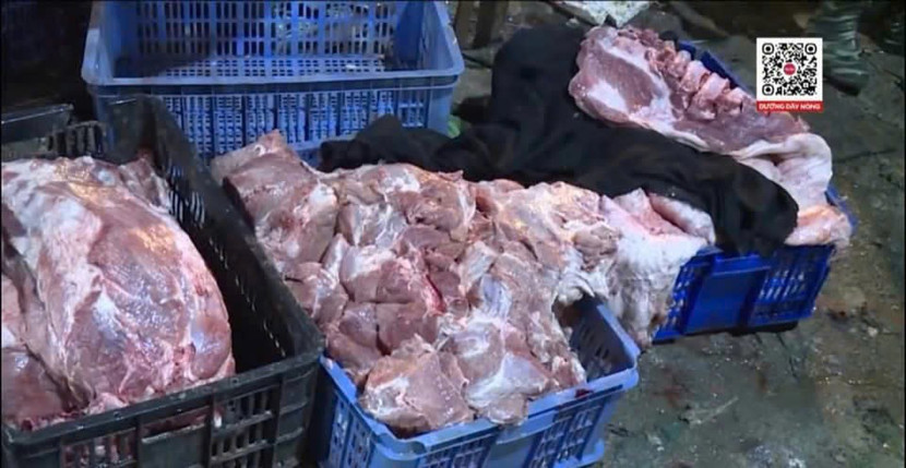 Tang vật cơ quan chức năng thu giữ