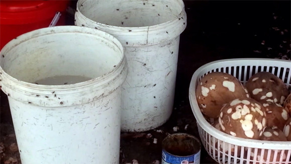 Mục sở thị công nghệ làm kem siêu… bẩn tại Thủ đô ảnh 4 Mục sở thị công nghệ làm kem siêu… bẩn tại Thủ đô ảnh 4