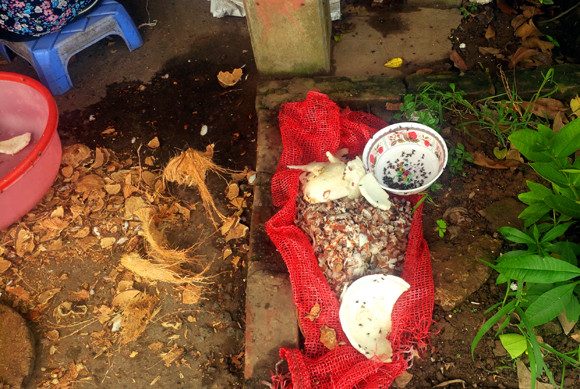 Mục sở thị công nghệ làm kem siêu… bẩn tại Thủ đô ảnh 3 Mục sở thị công nghệ làm kem siêu… bẩn tại Thủ đô ảnh 3