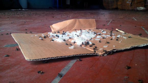 Mục sở thị công nghệ làm kem siêu… bẩn tại Thủ đô ảnh 1