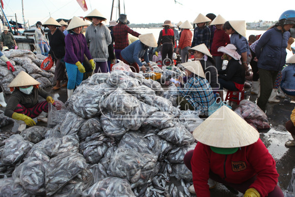 Trở lại nơi siêu bão không đi qua! ảnh 1