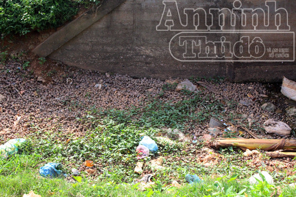 Nguy hại từ việc người dân ăn ốc, chính quyền đổ vỏ ảnh 12 Nguy hại từ việc người dân ăn ốc, chính quyền đổ vỏ ảnh 12