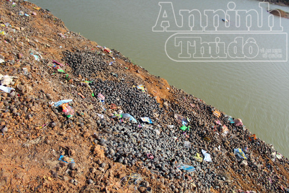 Nguy hại từ việc người dân ăn ốc, chính quyền đổ vỏ ảnh 6 Nguy hại từ việc người dân ăn ốc, chính quyền đổ vỏ ảnh 6