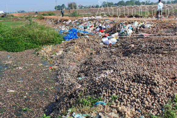 Nguy hại từ việc người dân ăn ốc, chính quyền đổ vỏ ảnh 8 Nguy hại từ việc người dân ăn ốc, chính quyền đổ vỏ ảnh 8